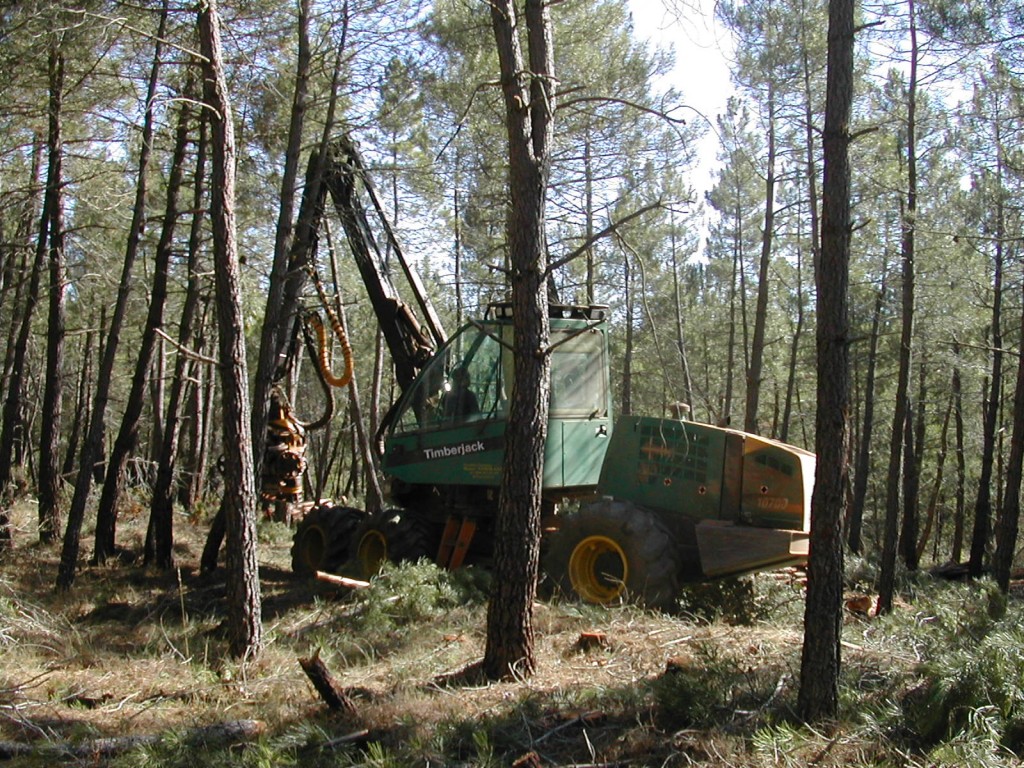 Aprovechamientos 01