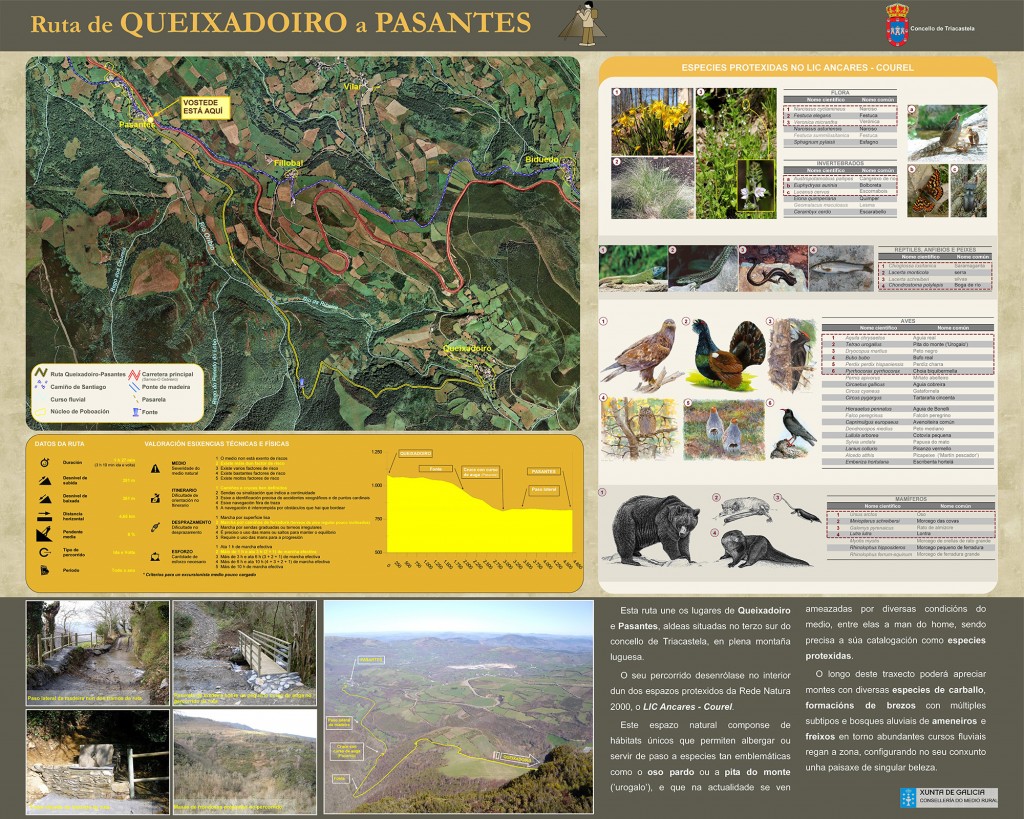 Formación y Divulgación 01
